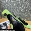 Versace Heel 6cm La Medusa Patent Leather Sling-back Pumps Light Green 2021