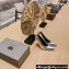 Balenciaga Heel 10cm Pointed toe Pumps Silver 2022
