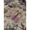 Louis Vuitton Starboard Flat Espadrilles Wool Pink 2022