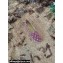 Louis Vuitton Starboard Flat Espadrilles Wool Pink 2022