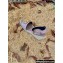 Valentino Leather VLogo Wedge Espadrilles Sandals Light Pink