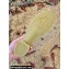 Gucci Heel 6cm Double G Leather Espadrilles Slide Sandals Pastel Pink 2022