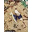 Gucci Heel 6cm GG Espadrilles Slide Sandals Denim Blue 2022