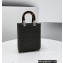 Fendi Technical Mesh FF Fabric Mini Sunshine Shopper Bag Dark Green 2021