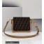 Fendi Touch Bag Brown FF Fabric 2021
