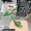 Mach & Mach Heel 6.5cm Double Bow Mules PVC Green 2021