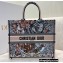 Dior Book Tote Bag in Multicolor La Force Embroidery 2021