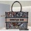 Dior Small Book Tote Bag in Multicolor La Force Embroidery 2021