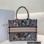 Dior Small Book Tote Bag in Multicolor La Force Embroidery 2021