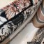 Dior Small Book Tote Bag in Multicolor La Force Embroidery 2021