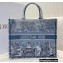 Dior Book Tote Bag in Toile de Jouy Embroidery Blue Gradient 2021