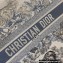 Dior Book Tote Bag in Toile de Jouy Embroidery Blue Gradient 2021