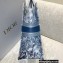 Dior Book Tote Bag in Toile de Jouy Embroidery Blue Gradient 2021