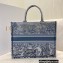 Dior Book Tote Bag in Toile de Jouy Embroidery Blue Gradient 2021
