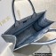 Dior Book Tote Bag in Toile de Jouy Embroidery Blue Gradient 2021