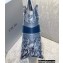 Dior Small Book Tote Bag in Toile de Jouy Embroidery Blue Gradient 2021