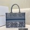 Dior Small Book Tote Bag in Toile de Jouy Embroidery Blue Gradient 2021