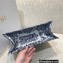 Dior Small Book Tote Bag in Toile de Jouy Embroidery Blue Gradient 2021