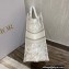 Dior Small Book Tote Bag in Toile de Jouy Reverse Embroidery Gray 2021