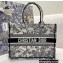 Dior Small Book Tote Bag in Toile de Jouy Flowers Embroidery 2021