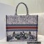 Dior Book Tote Bag in Multicolor Constellation Embroidery 2021