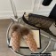 Gucci Wool Fur Horsebit Princetown Slippers GG Canvas Beige 2022