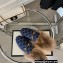 Gucci Wool Fur Horsebit Princetown Slippers GG Canvas Dark Blue 2022