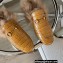 Gucci Wool Fur Horsebit Princetown Slippers Croco Pattern Yellow 2022