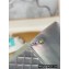 Chanel Small Classic Flap Bag 1116 Rainbow Gradient Silver 2022