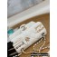 Chanel Pearls Charms Small Flap Bag AS2979 White 2022