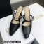 Dior Heel 7cm Calfskin Mules Black 2022