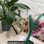 Dolce & Gabbana Heel 10.5cm Leather Sandals Green with DG Pop Heel 2021