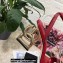 Dolce & Gabbana Heel 10.5cm Leather Sandals Red with DG Pop Heel 2021