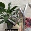 Dolce & Gabbana Heel 10.5cm Leather Sandals Silver with DG Pop Heel 2021