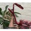 Dolce & Gabbana Heel 10.5cm Leather Sandals Patent Red with DG Pop Heel 2021