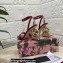 Dolce & Gabbana Heel 10.5cm Leather Sandals Patent Red with DG Pop Heel 2021