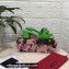 Dolce & Gabbana Heel 6.5cm Woven nappa leather Bow Mules Green 2021