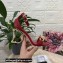 Dolce & Gabbana Heel 10.5cm Leather Chain Sandals Red with Baroque DG heel 2021