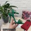 Dolce & Gabbana Heel 10.5cm Leather Chain Sandals Green 2021