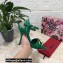 Dolce & Gabbana Heel 10.5cm Leather Chain Sandals Green 2021