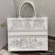 Dior Book Tote Bag in Gold-Tone Around the World Stella Embroidery 2022