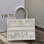 Dior Small Book Tote Bag in Gold-Tone Around the World Stella Embroidery 2022