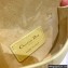Dior Micro Bobby Bag in Box Calfskin Pale Yellow 2022