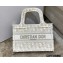 Dior Mini Book Tote Bag in Gold-Tone Oblique Embroidery 2022