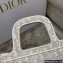 Dior Mini Book Tote Bag in Gold-Tone Oblique Embroidery 2022
