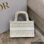 Dior Mini Book Tote Bag in Gold-Tone Oblique Embroidery 2022