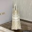 Dior Small Book Tote Bag in Gold-Tone Oblique Embroidery 2022