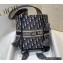 Dior D-Bubble Bucket Bag in Oblique Embroidery Blue 2022
