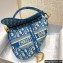 Dior Saddle Bag in Cornflower Blue Oblique Embroidery 2022