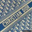 Dior Book Tote Bag in Cornflower Blue Oblique Embroidery 2022